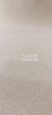 Ковролин Innova Фризе 4003 фото 1 | FLOORDEALER